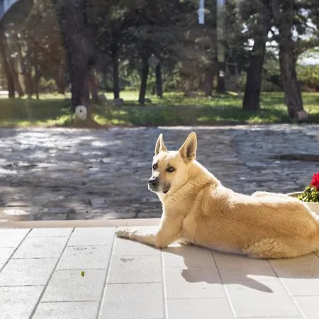 住宿加早餐酒店 Azaro-casa Vostra *
